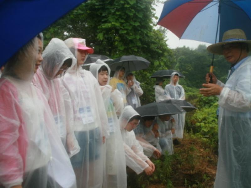 트래킹