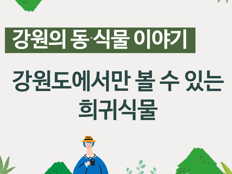 (강원의 동식물)강원도에서만 볼 수 있는 희귀식물 