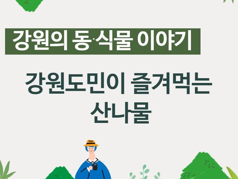 (강원의 동식물)강원도민이 즐겨먹는 산나물 