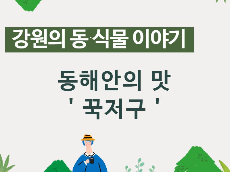 (강원의 동식물)동해안의 맛, 꾹저구 
