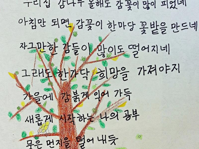 [장려상] 감 꽃_전양녀