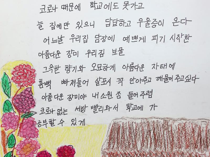 [입선] 내 아픈 마음 달래준 우리집 담장에 핀 장미_황복순